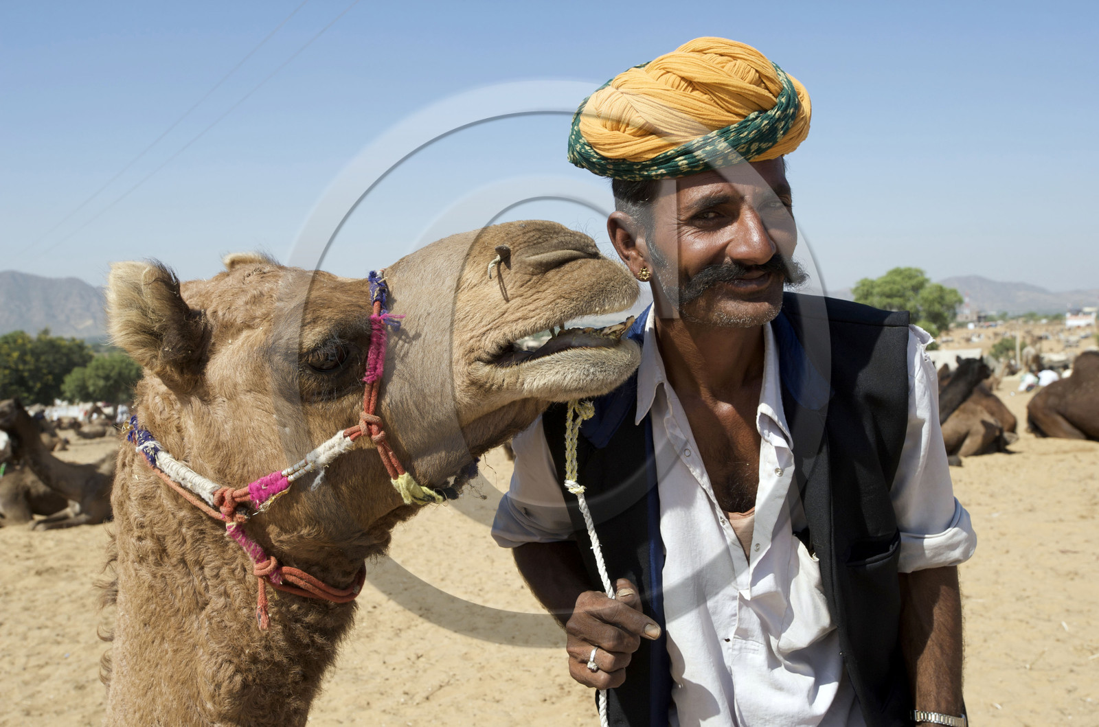 Inde, Pushkar