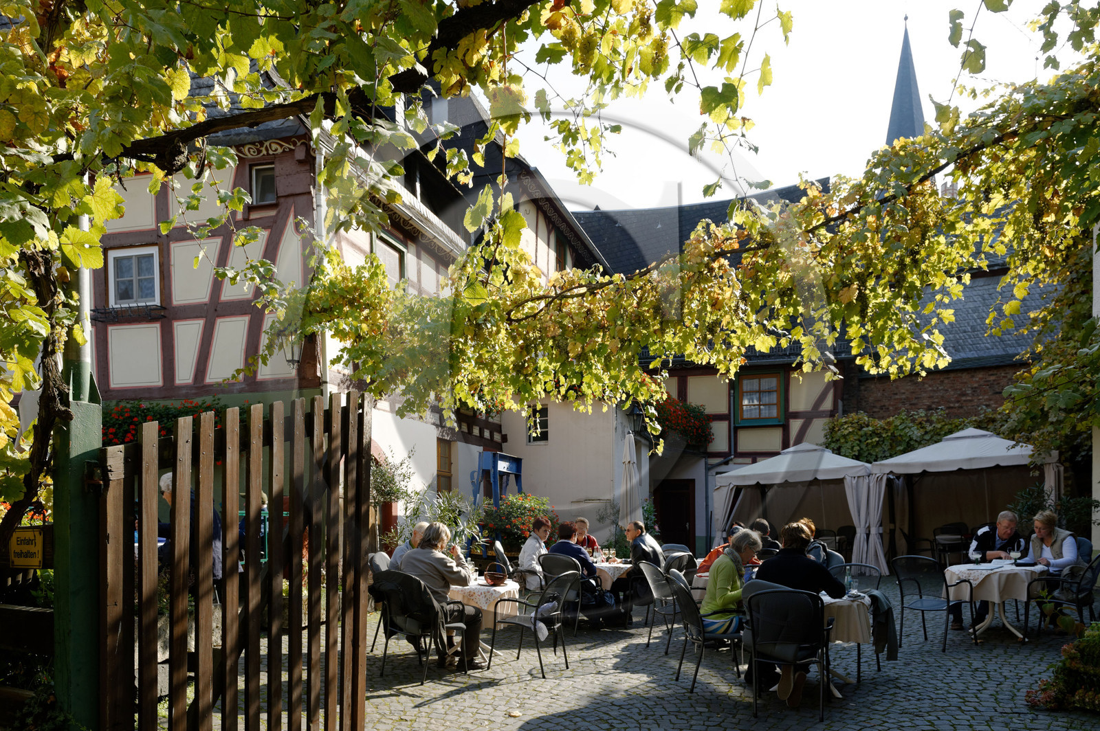 Allemagne, Rhin
