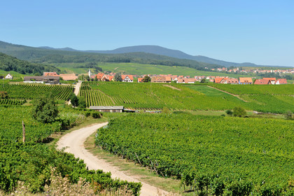France, Alsace