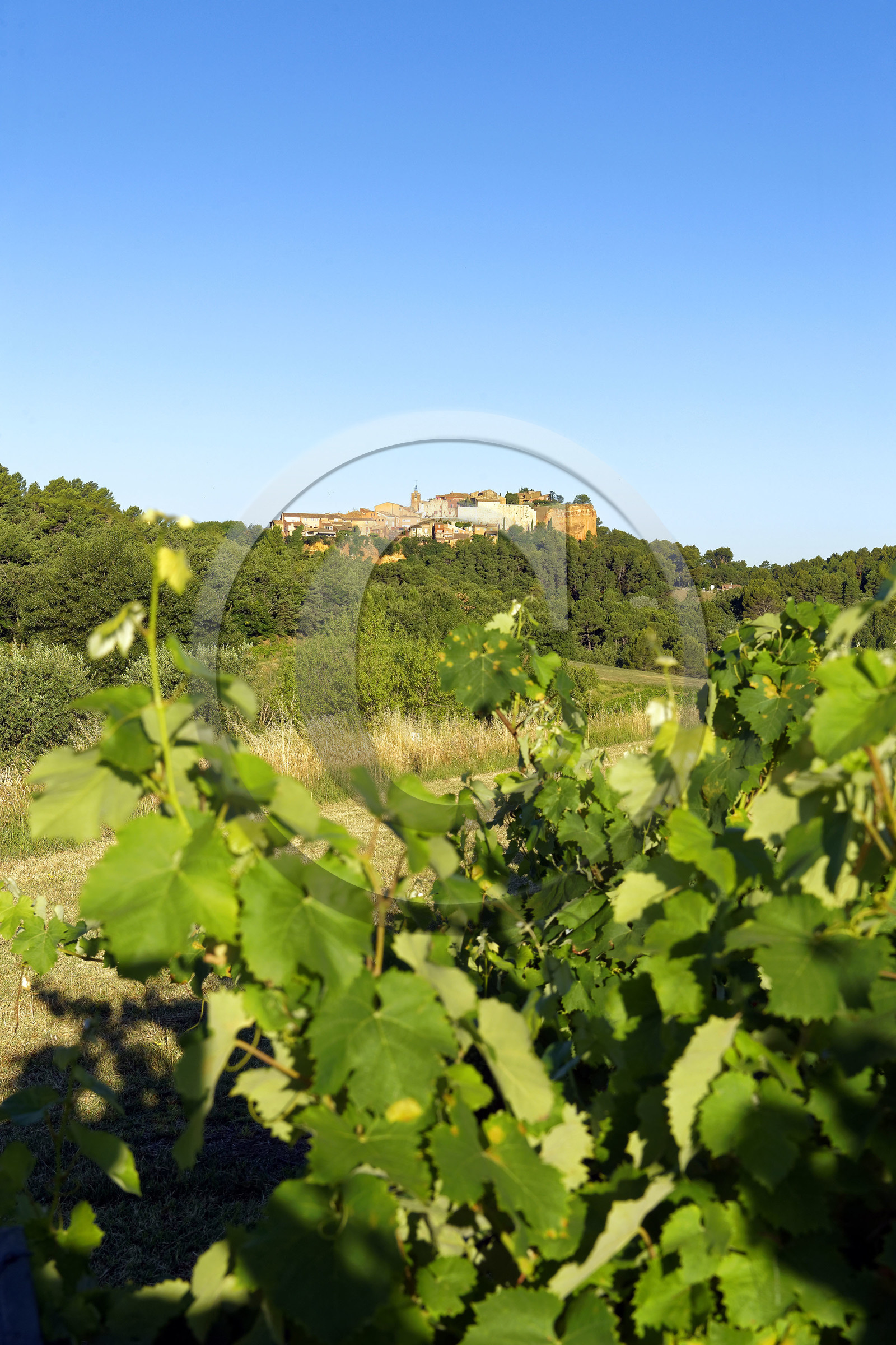 France, Roussillon