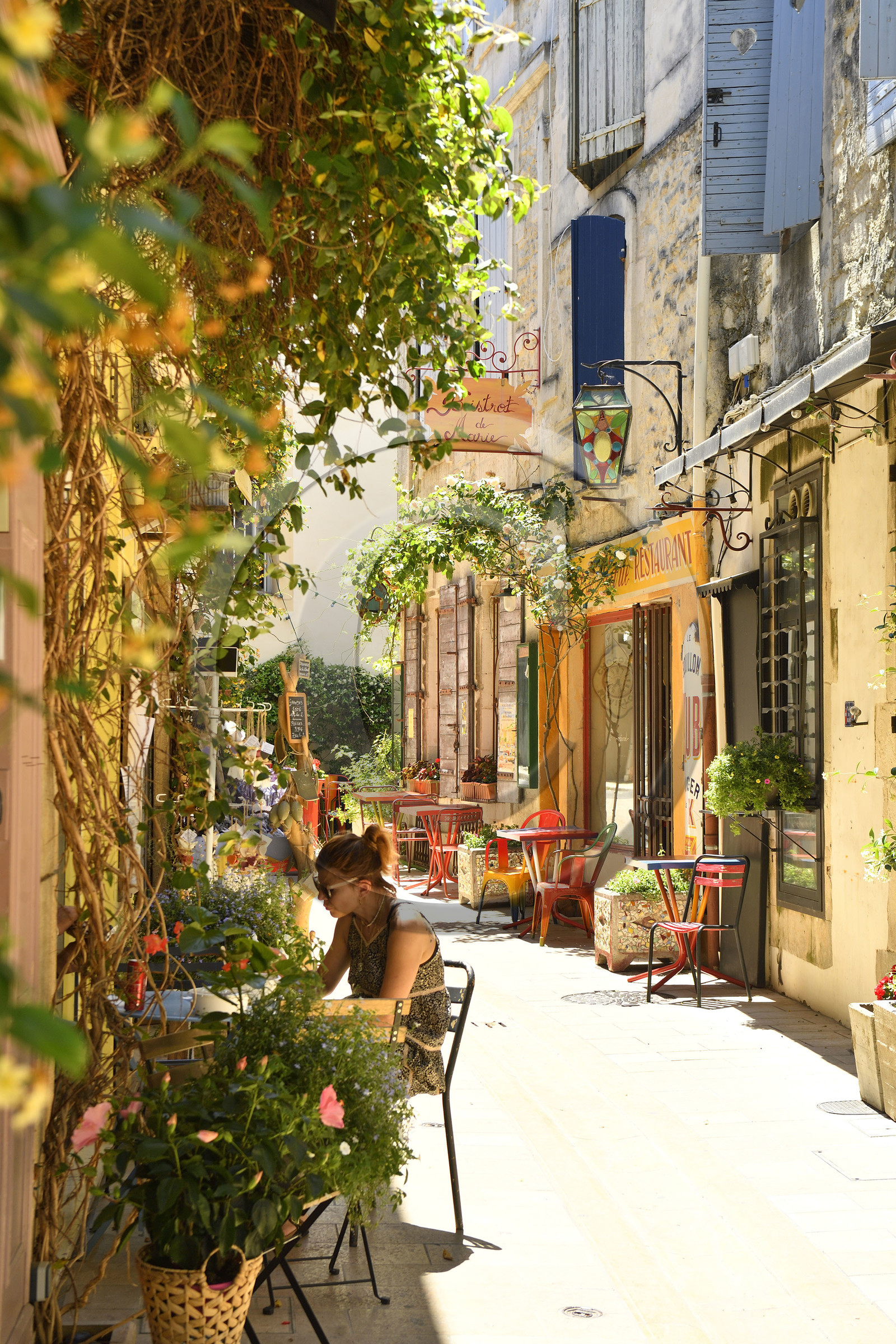 France, Saint Remy de Provence