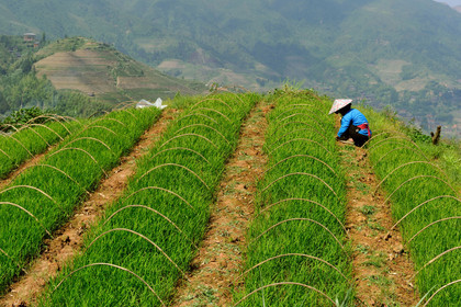 Chine, Longsheng