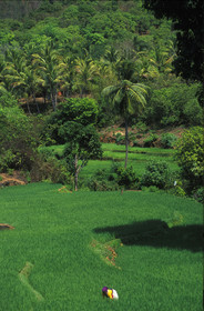 Inde du Sud