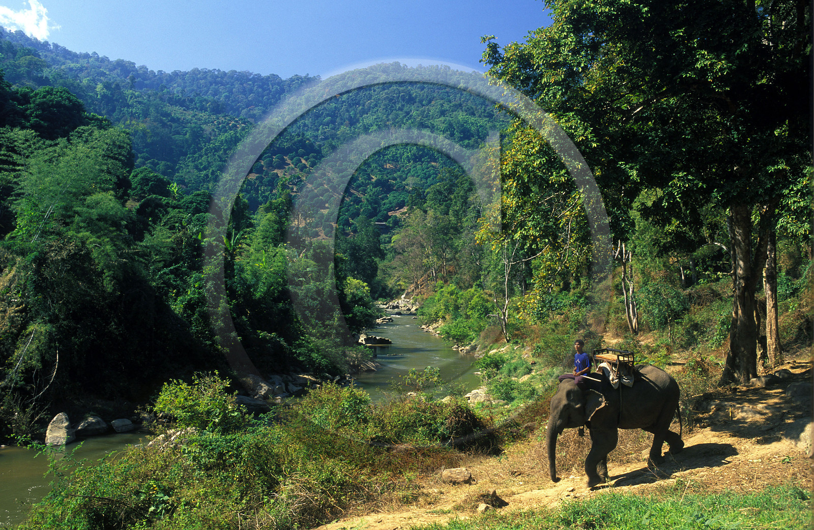 THAILANDE  DU NORD