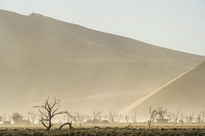 Namibie, Sossusvlei