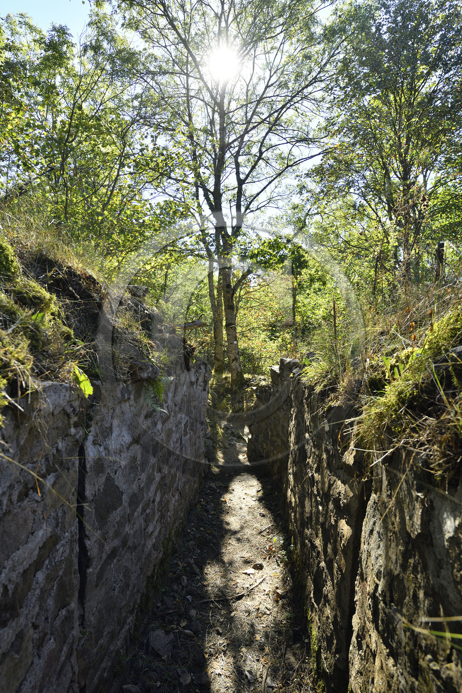 France, Hartmannswillerkopf