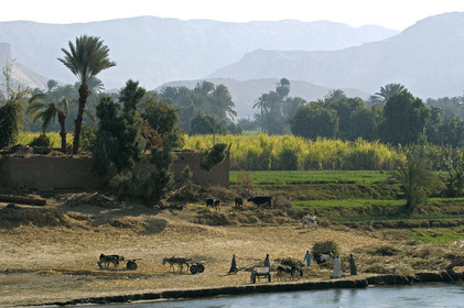 Egypte, Vallée du Nil
