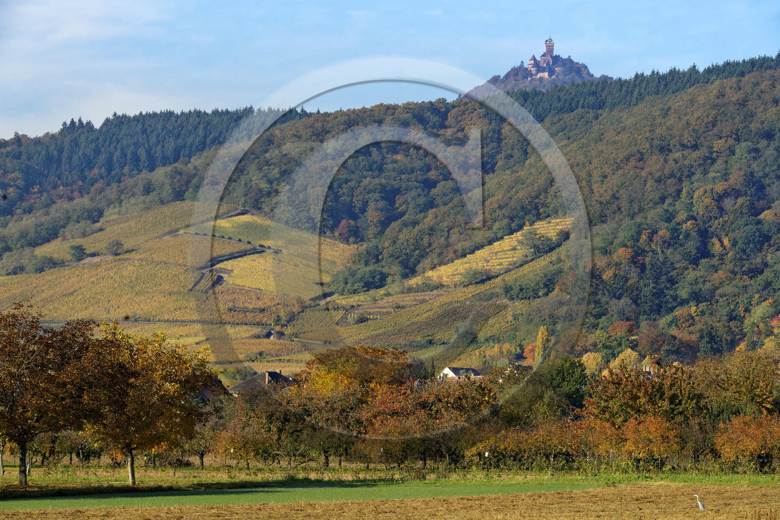France, Haut Koenigsbourg