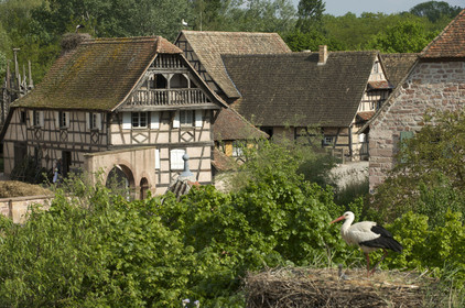 France, Alsace