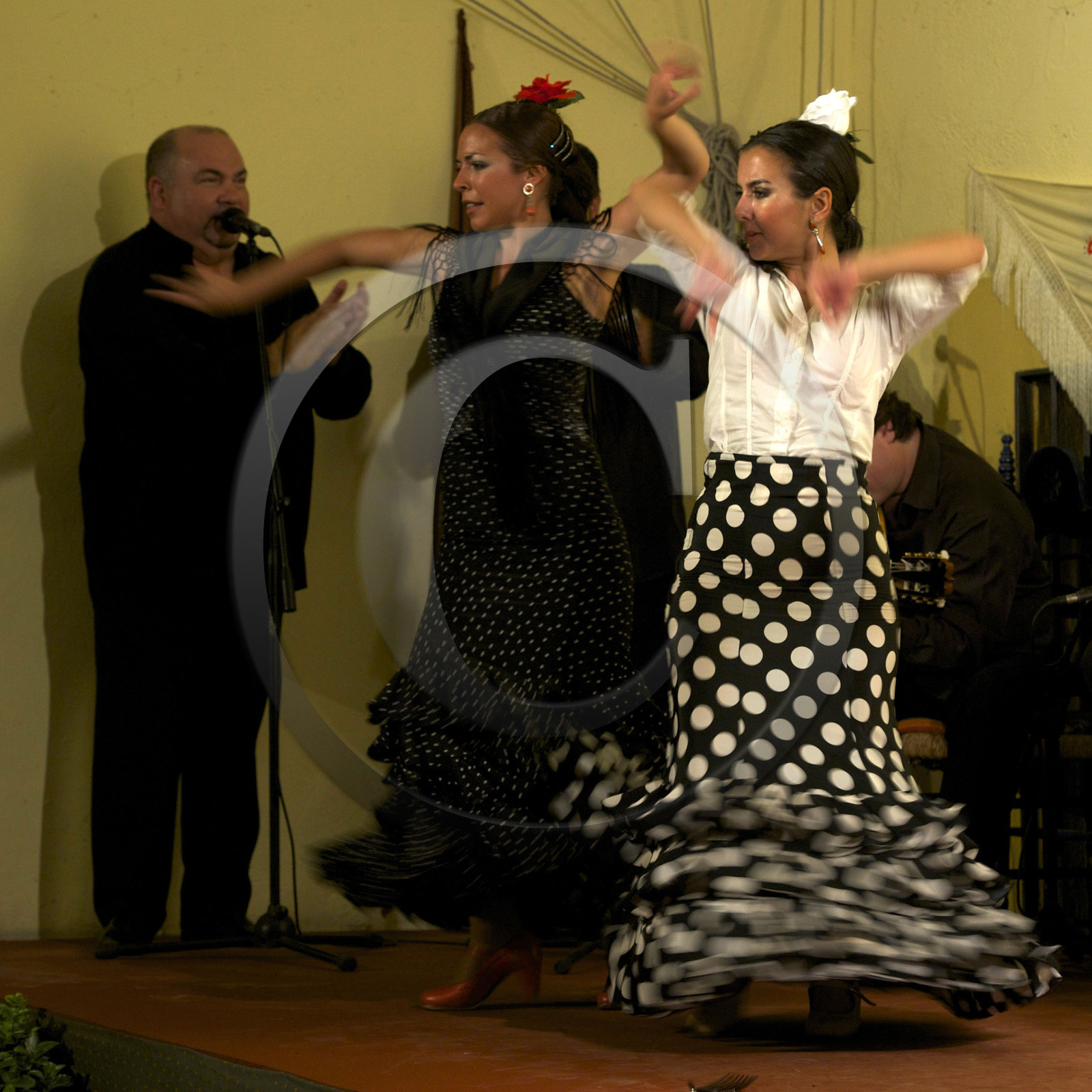 Espagne, Flamenco