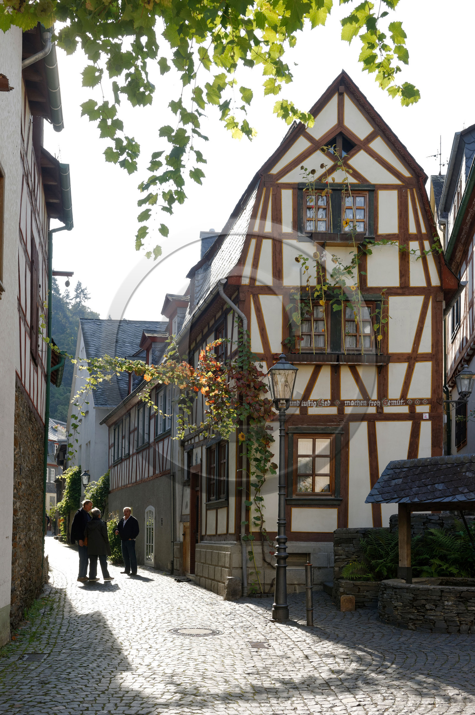Allemagne, Rhin