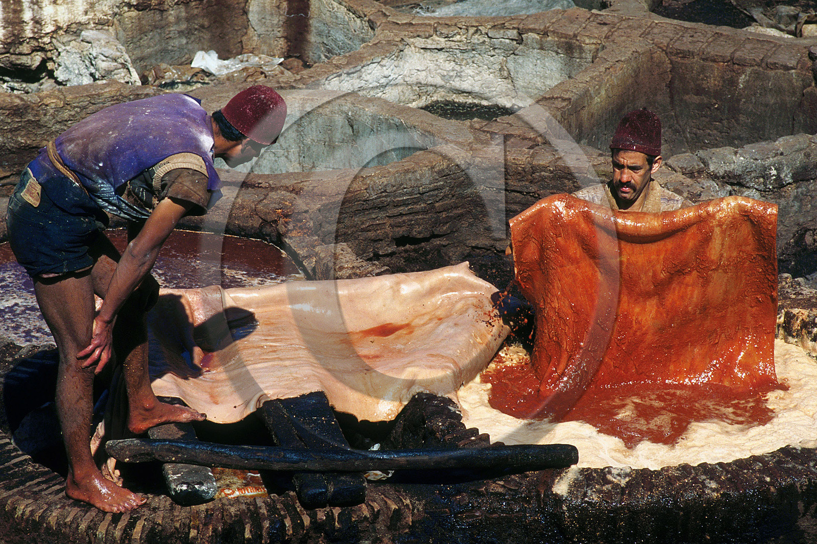 MAROC