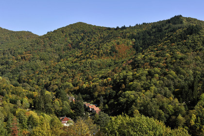 France, Thann