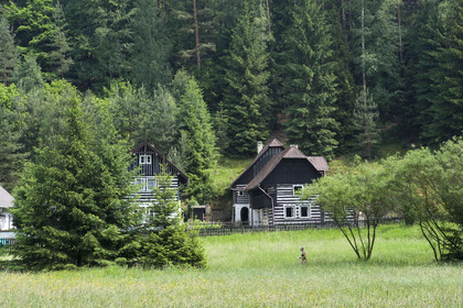 Tchequie, Kokorin