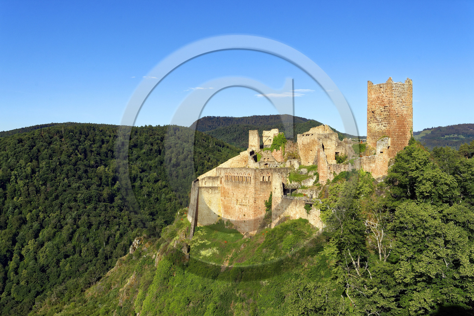 France, Ribeauville