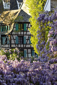 France, Strasbourg