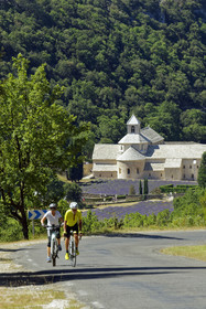 France, Senanque