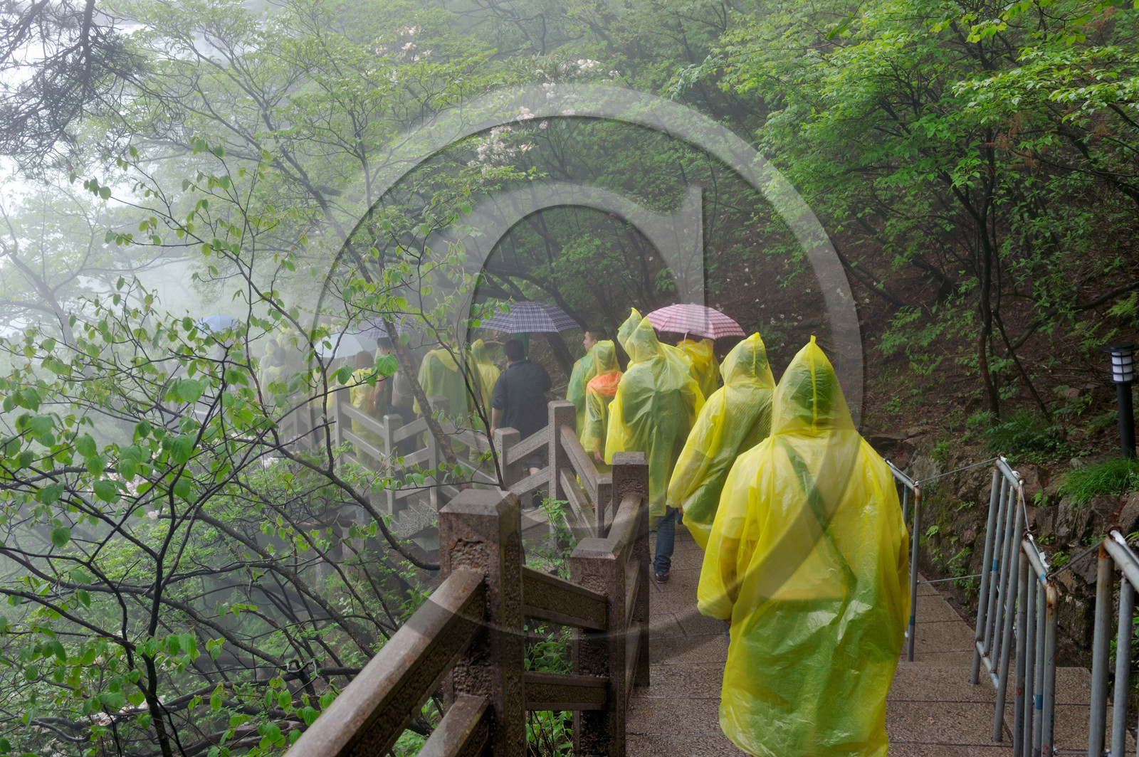 Chine, Huang Shan