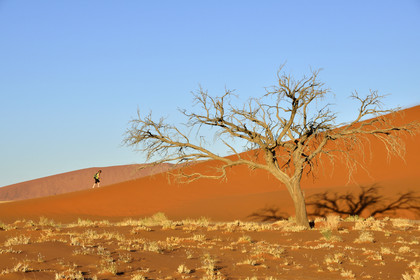 Namibie, Sossusvlei