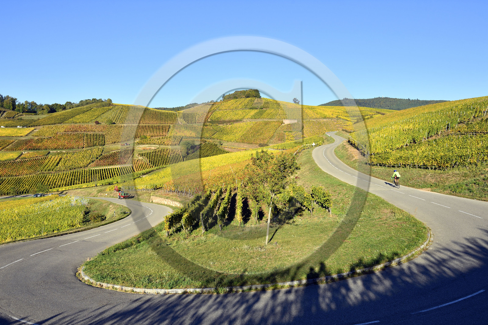 France, Turckheim