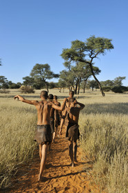 Namibie, Kalahari