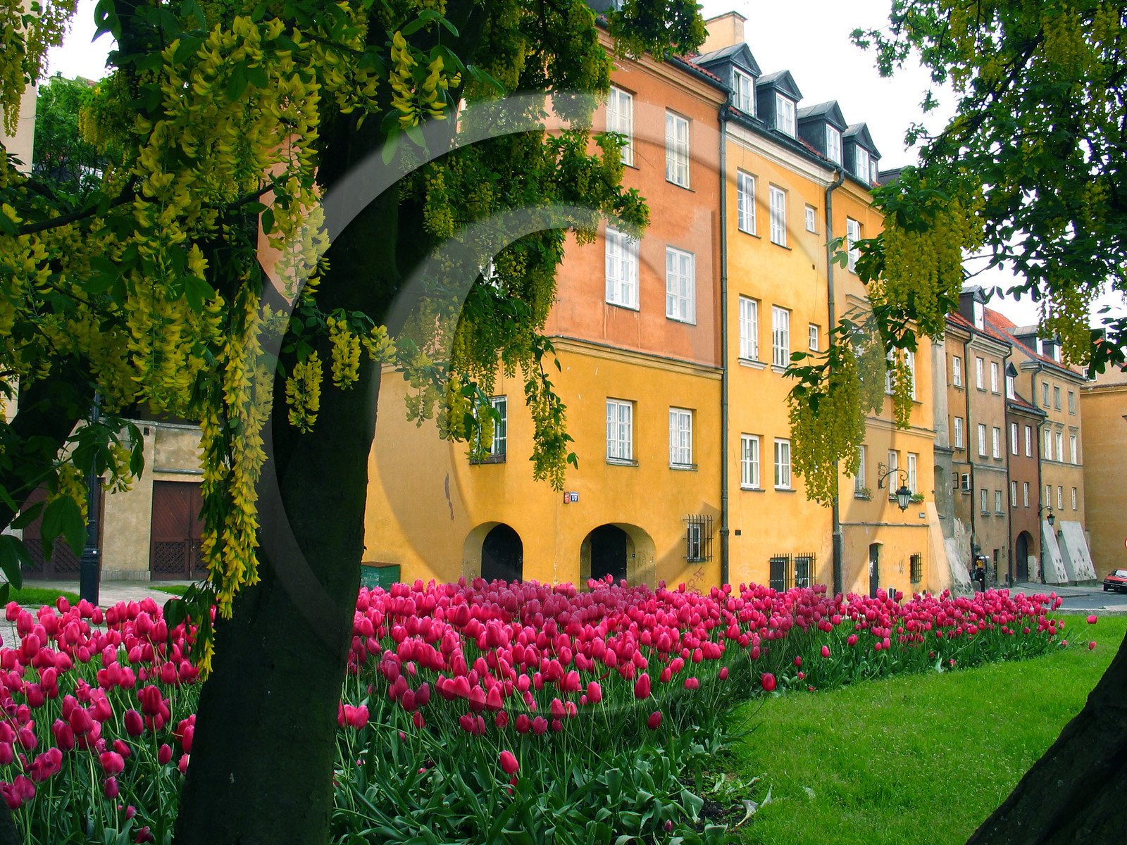 Pologne