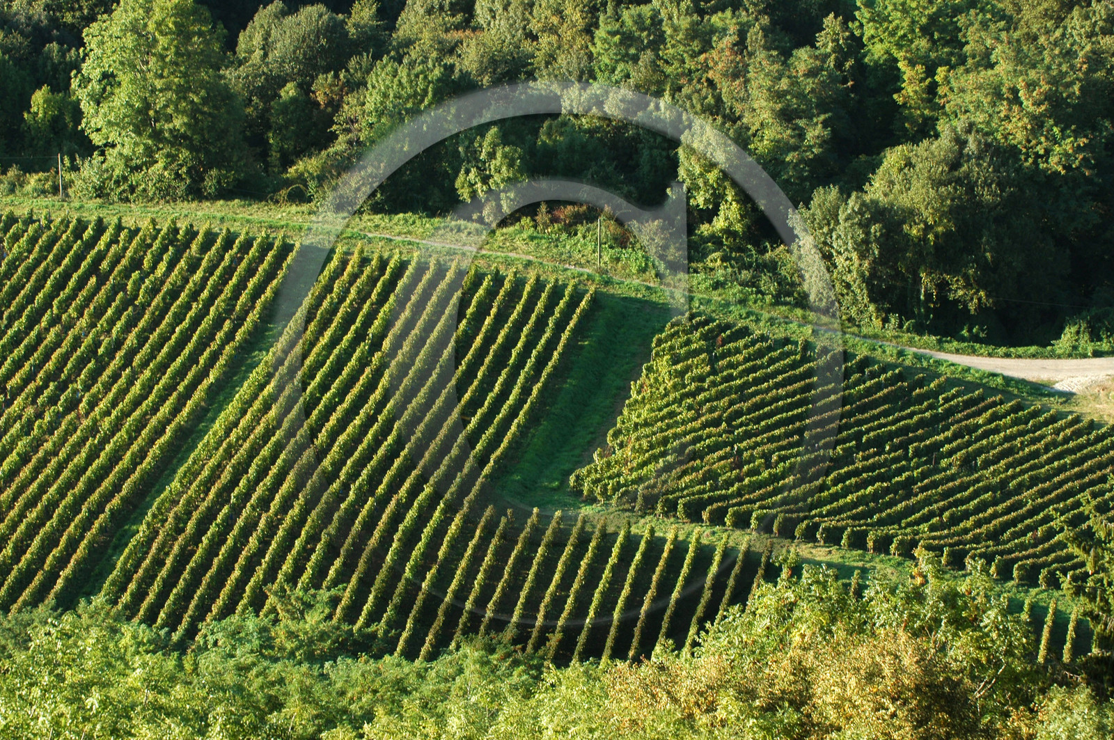 Franche-Comte, France