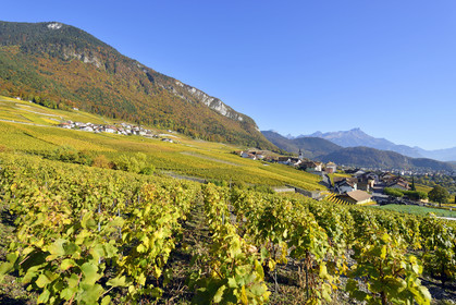 Suisse, Yvorne