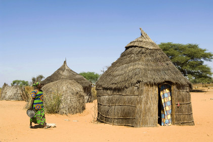 Brousse, Sénégal