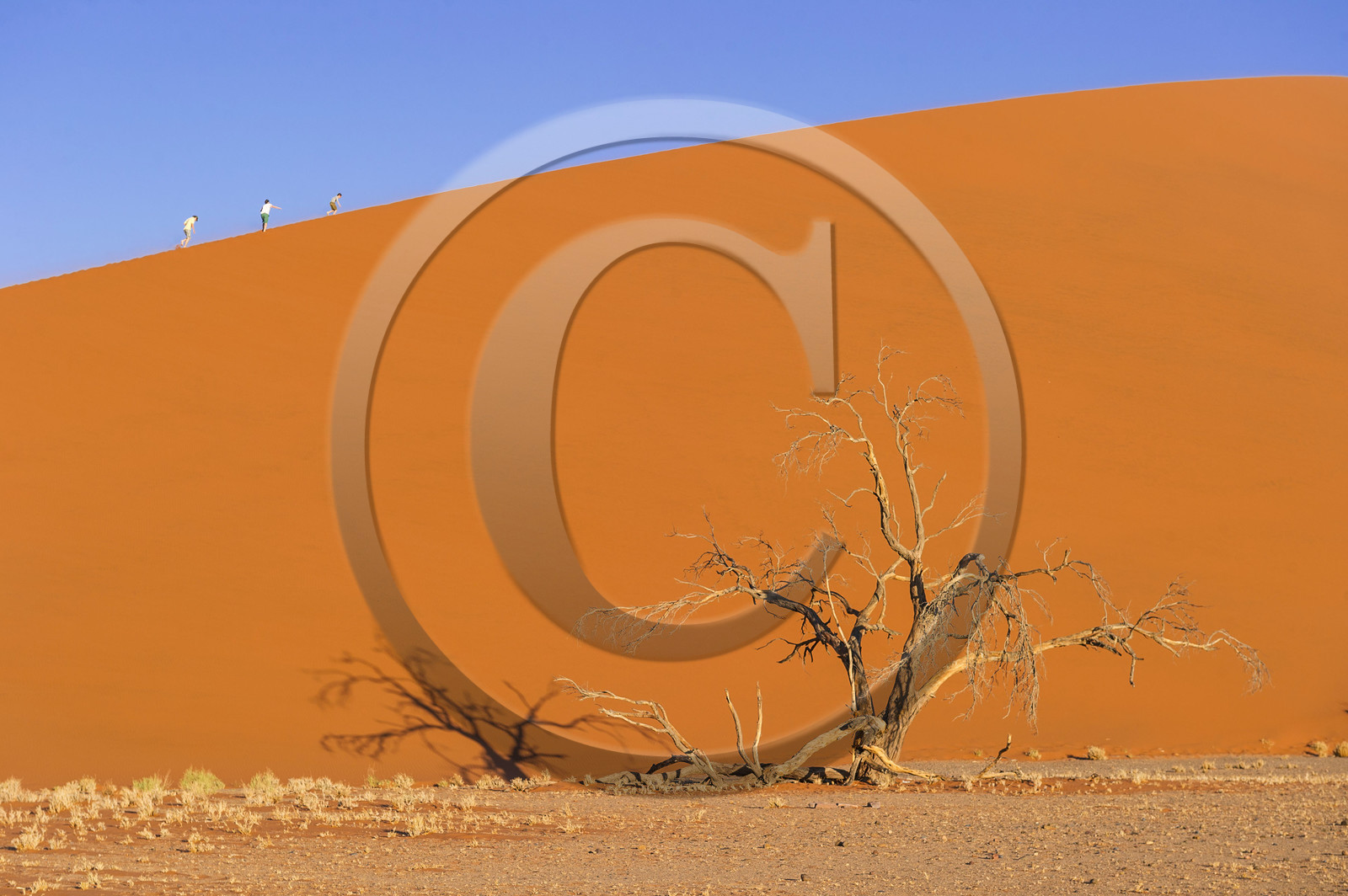 Namibie, Sossusvlei