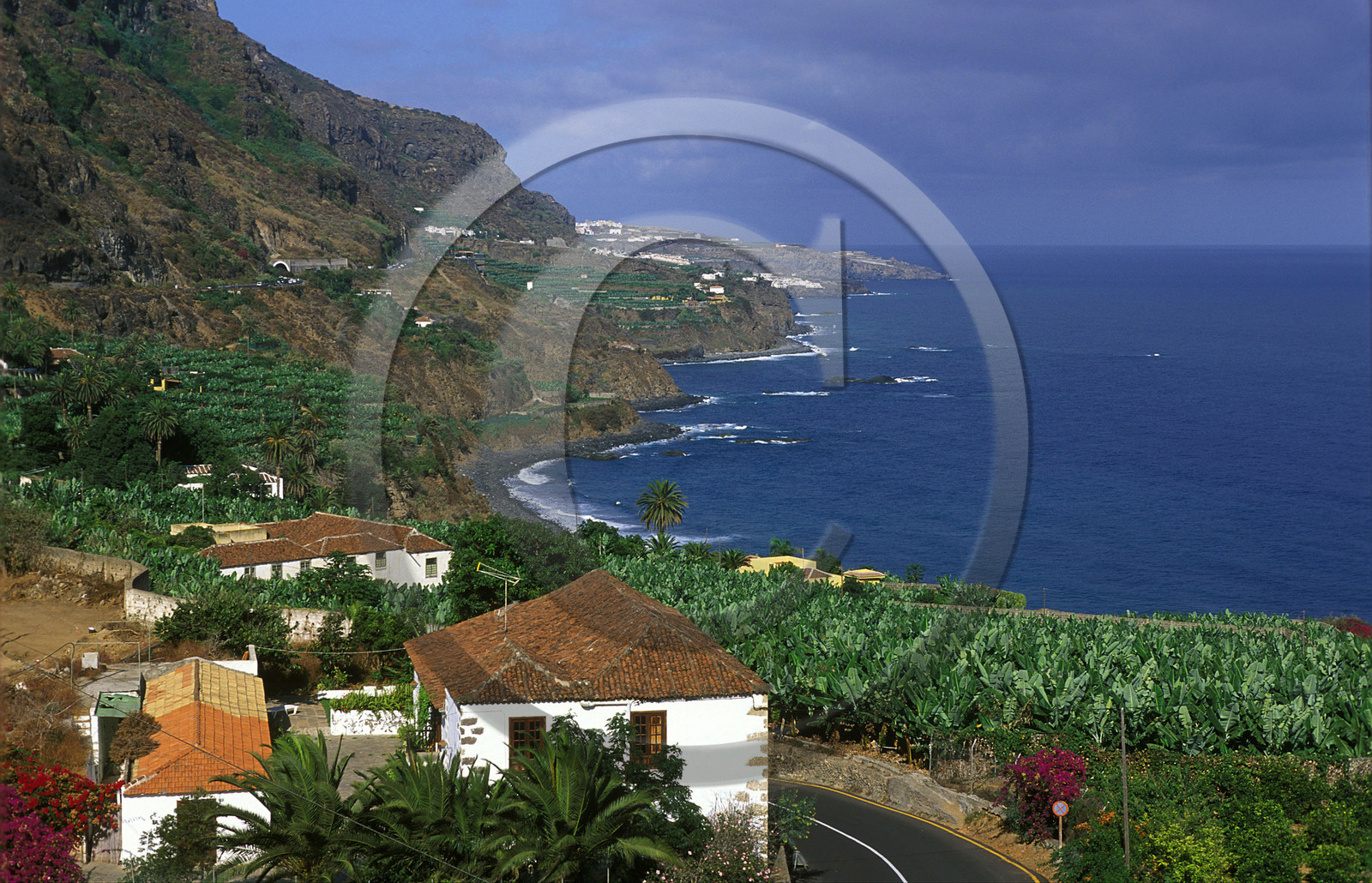 Canaries. Espagne