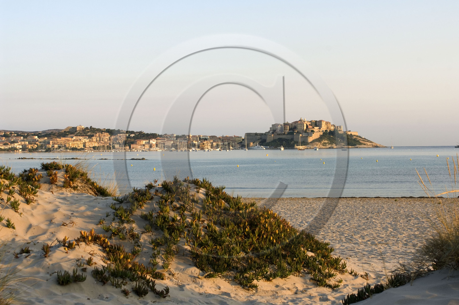 Calvi, Corse
