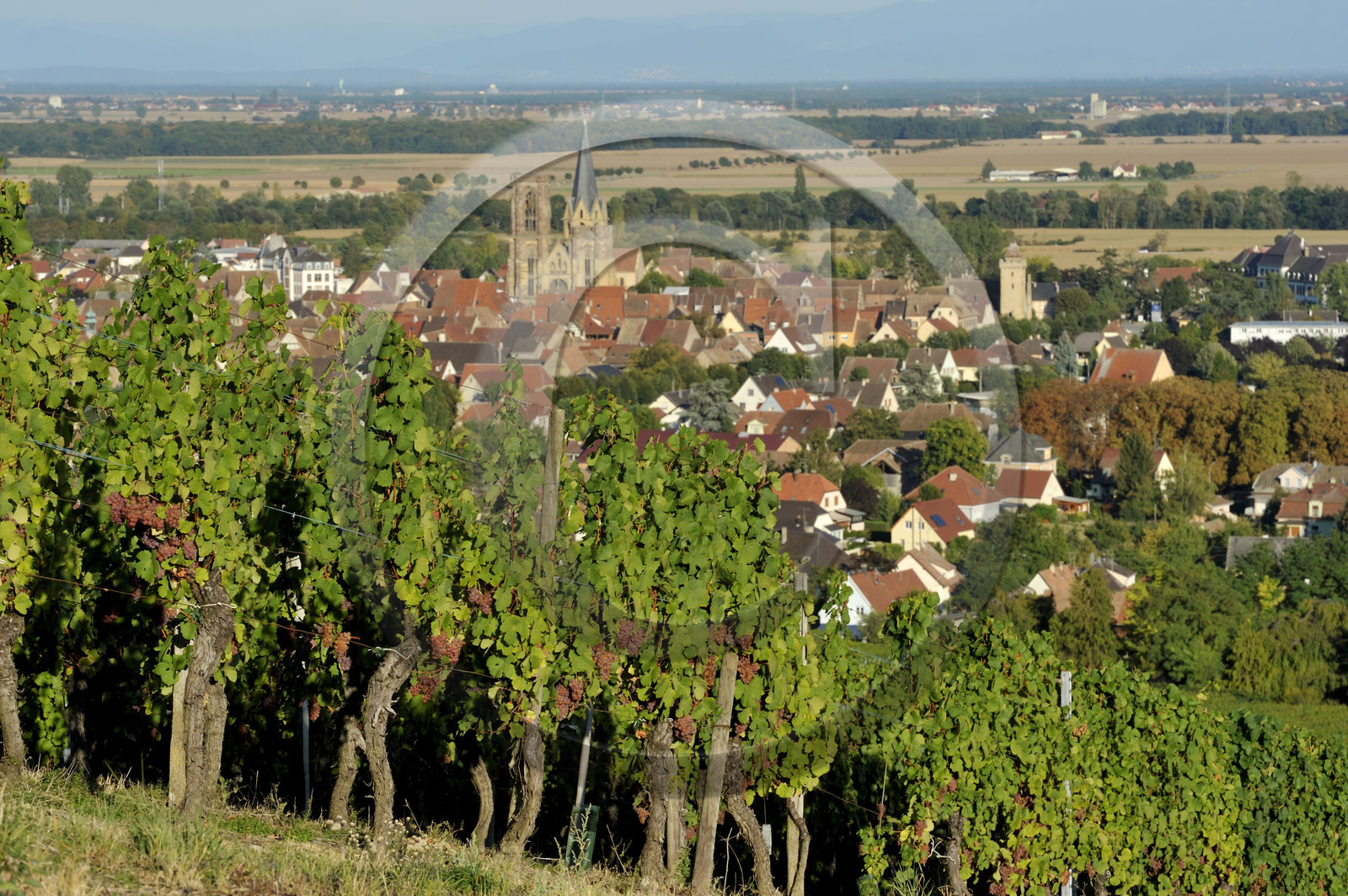 France, Alsace