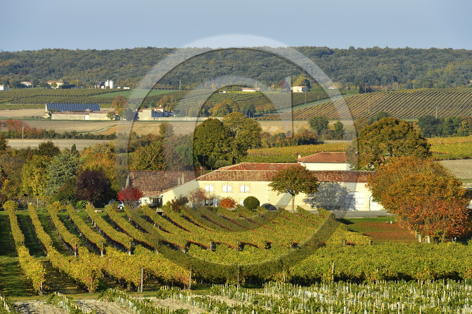 France, Cognac
