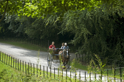 Irlande, Killarney