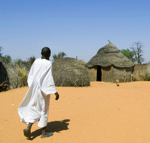 Brousse, Sénégal