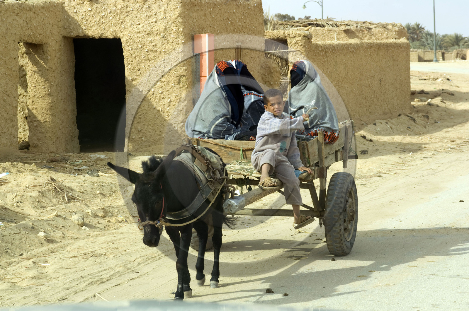 Egypte, Siwa