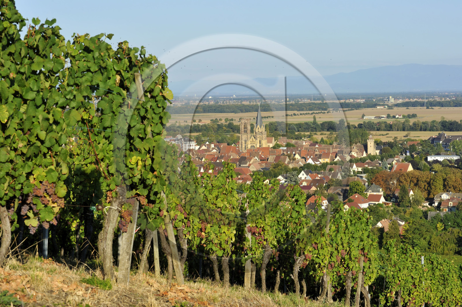 France, Alsace