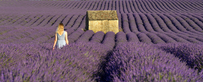 France, Valensole