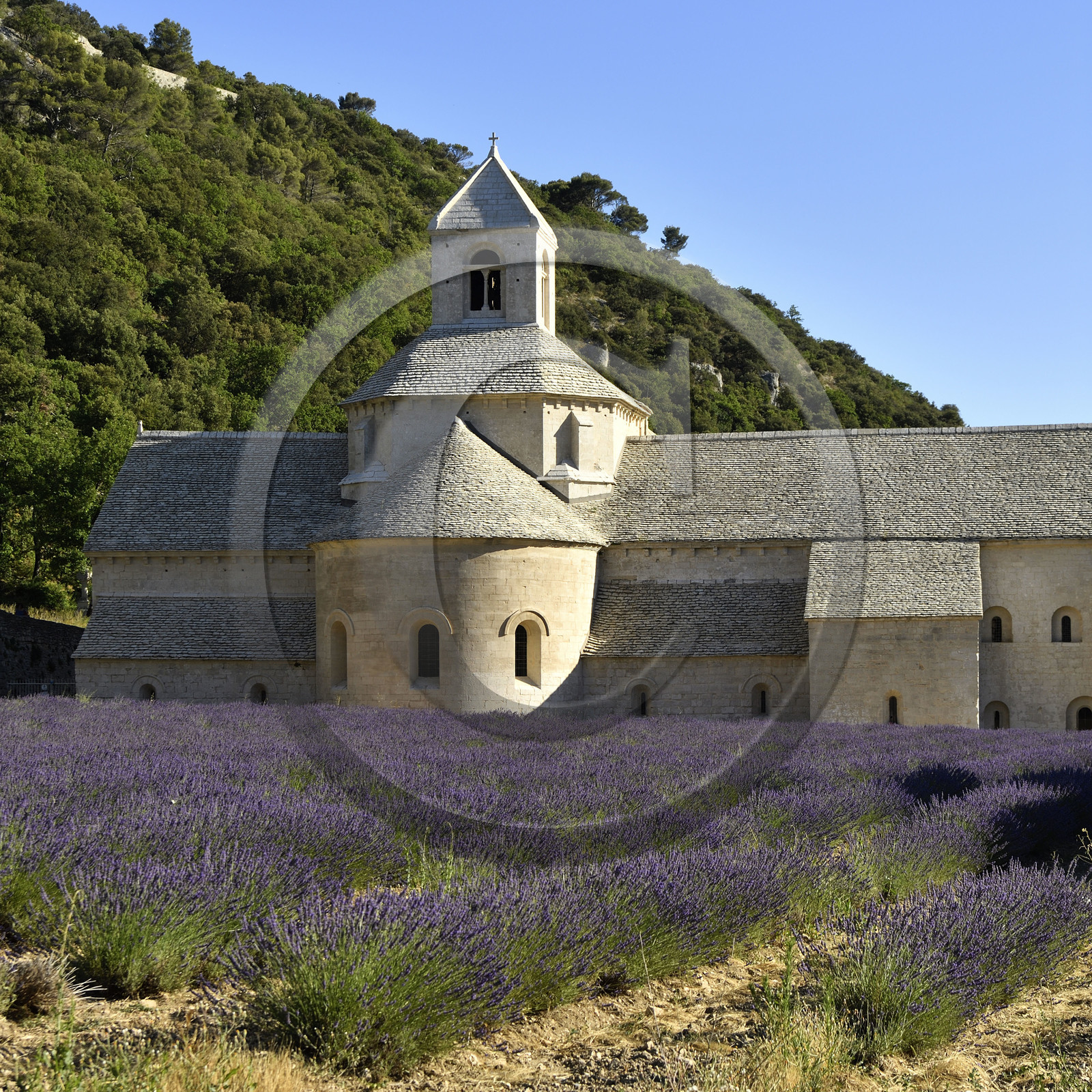 France, Senanque