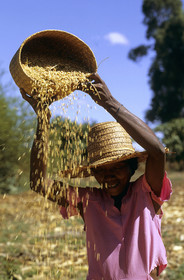 Madagascar