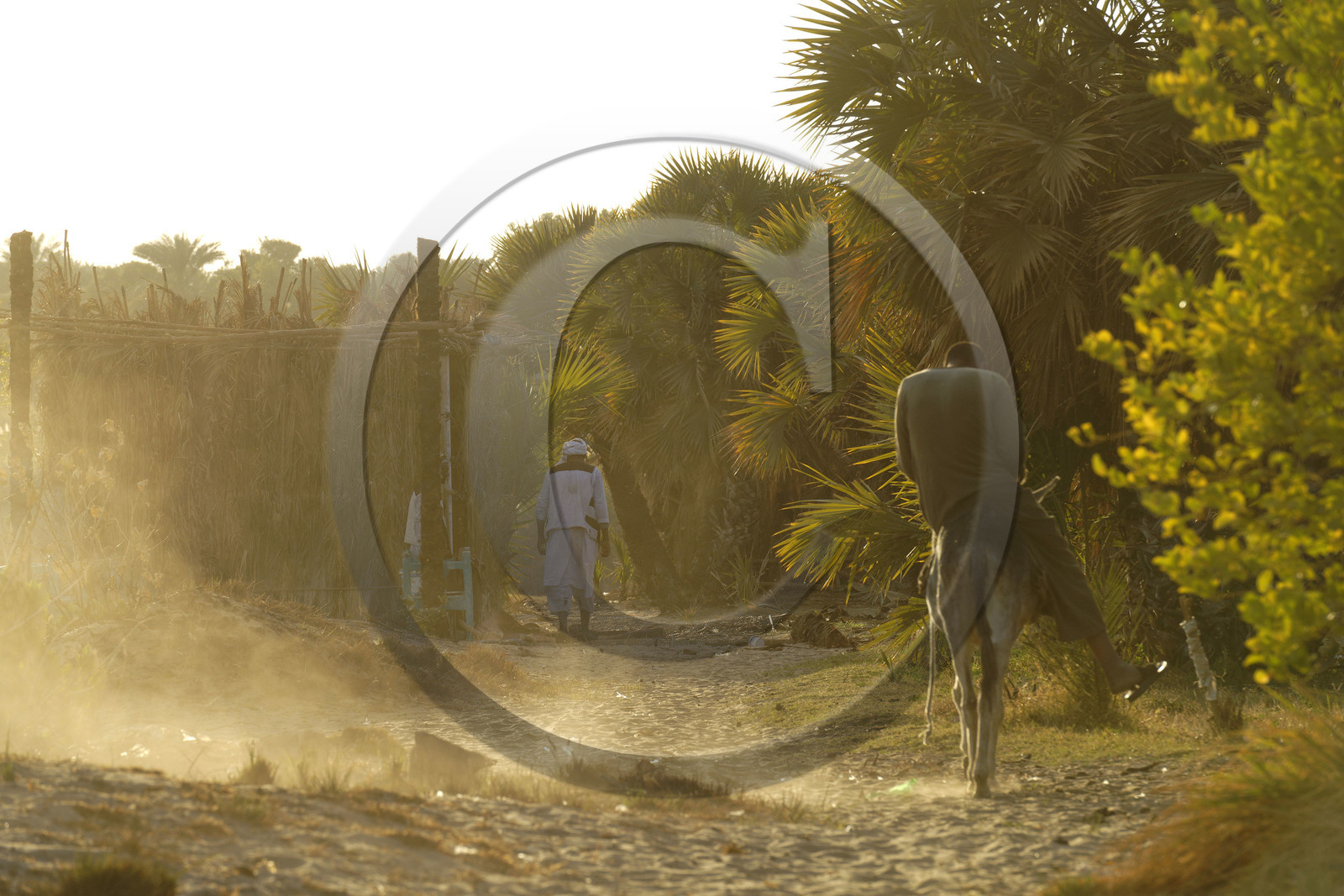 Egypte, Nil