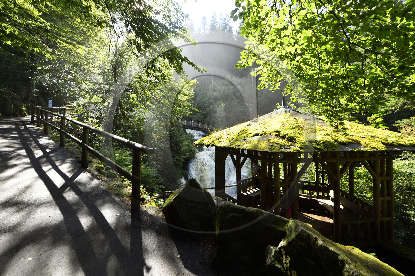 Allemagne, Triberg