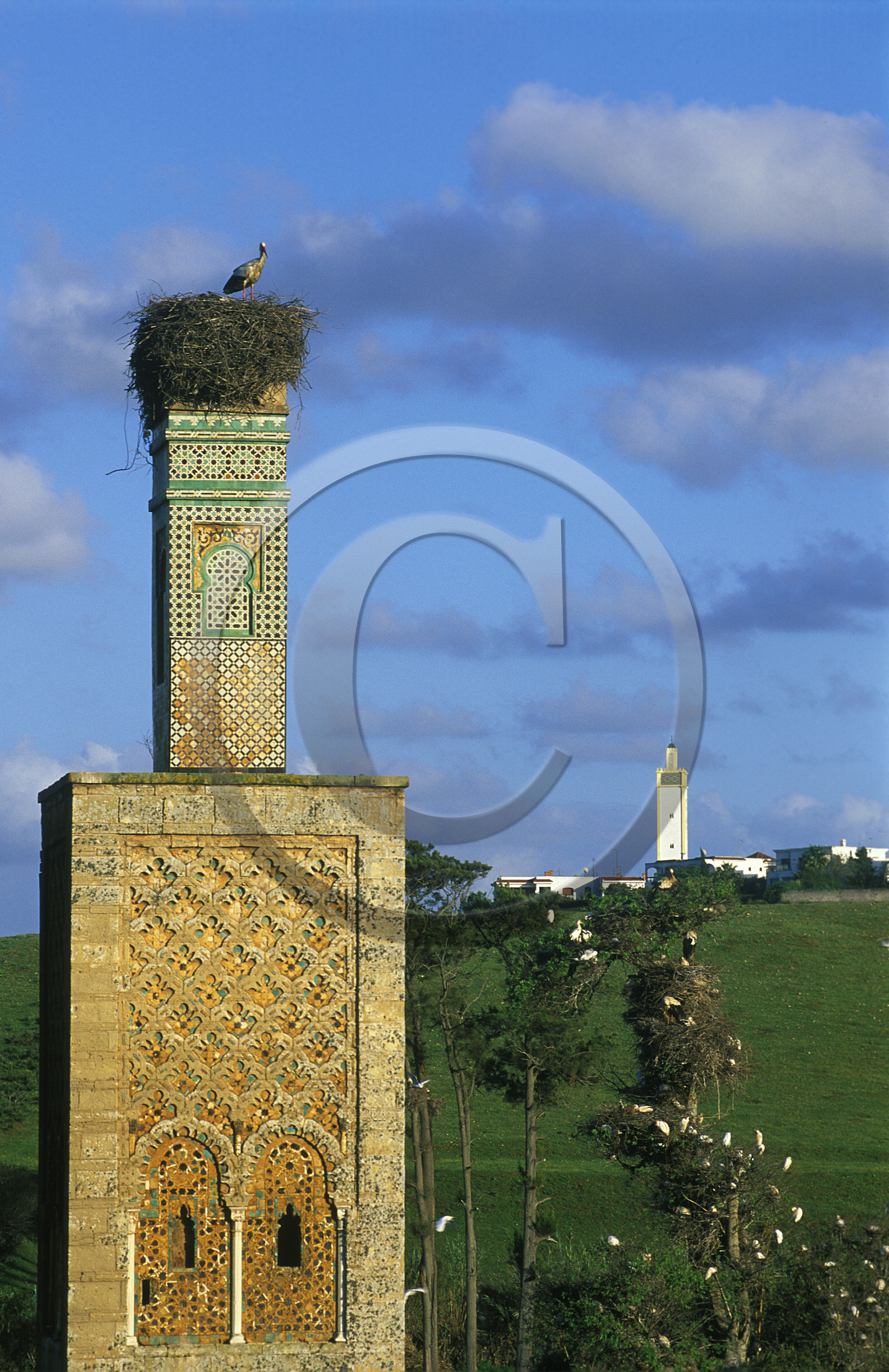 MAROC   RABAT.FORT DE CHELLAH