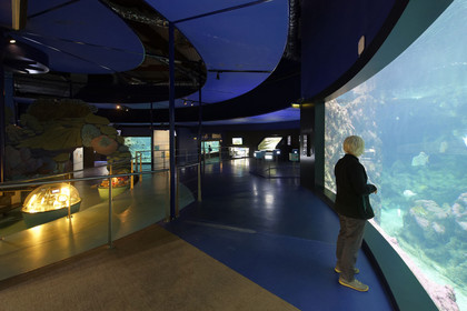 France, Oceanopolis