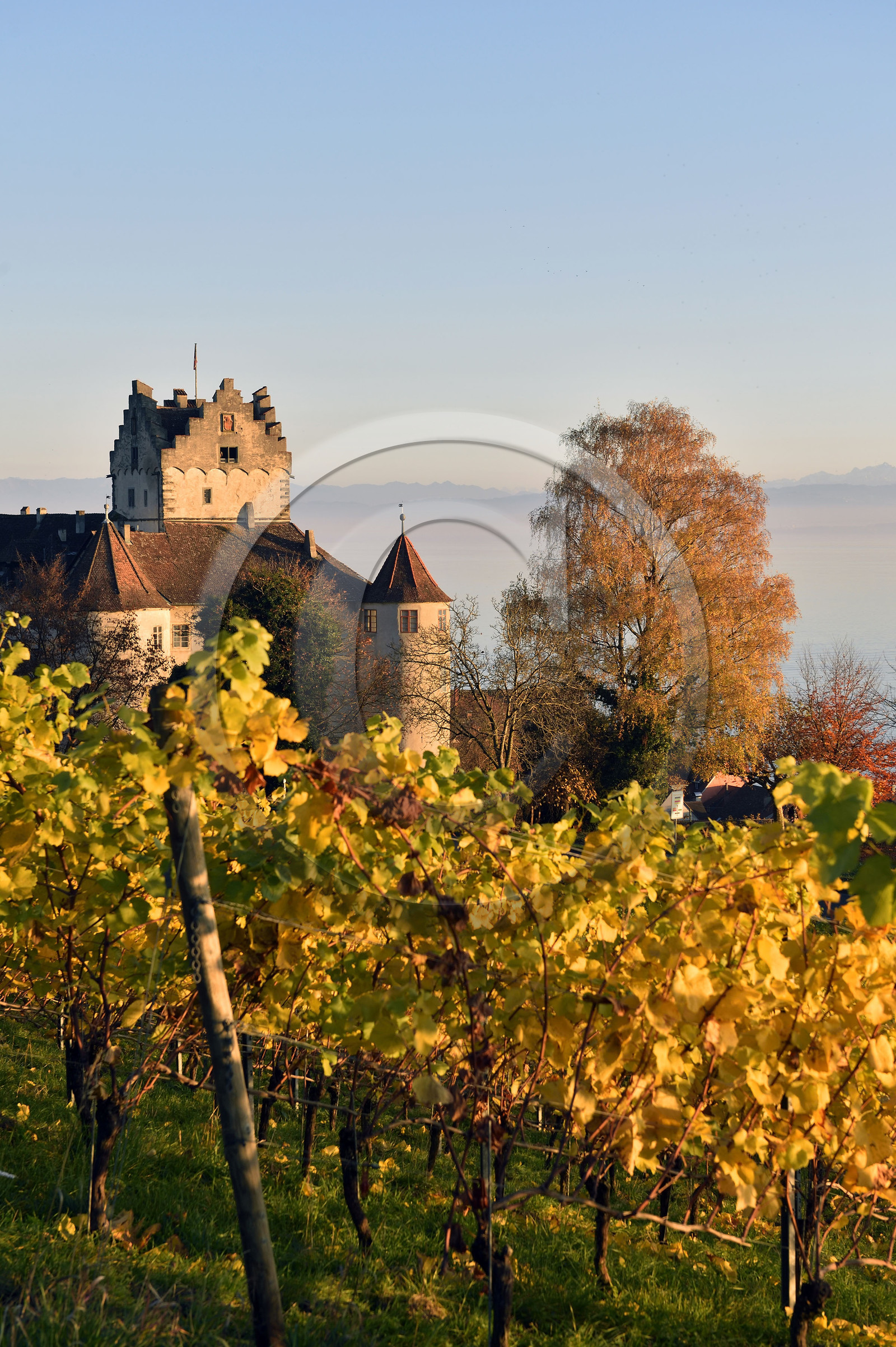 Allemagne, Meersburg