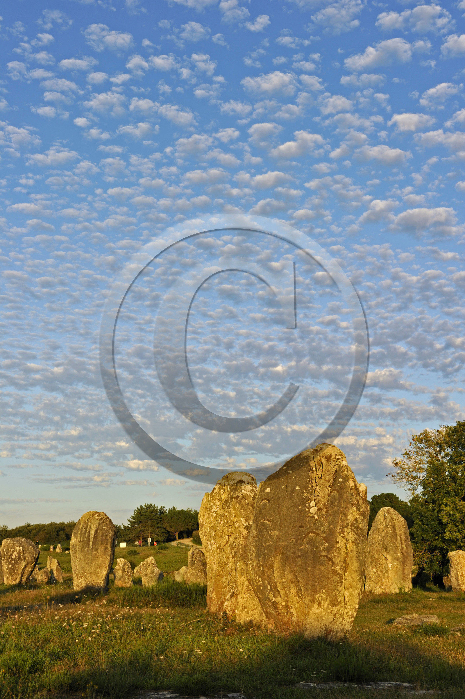 France, Carnac