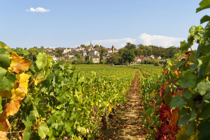 France, Monthélie