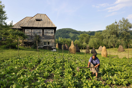 Roumanie, Maramures