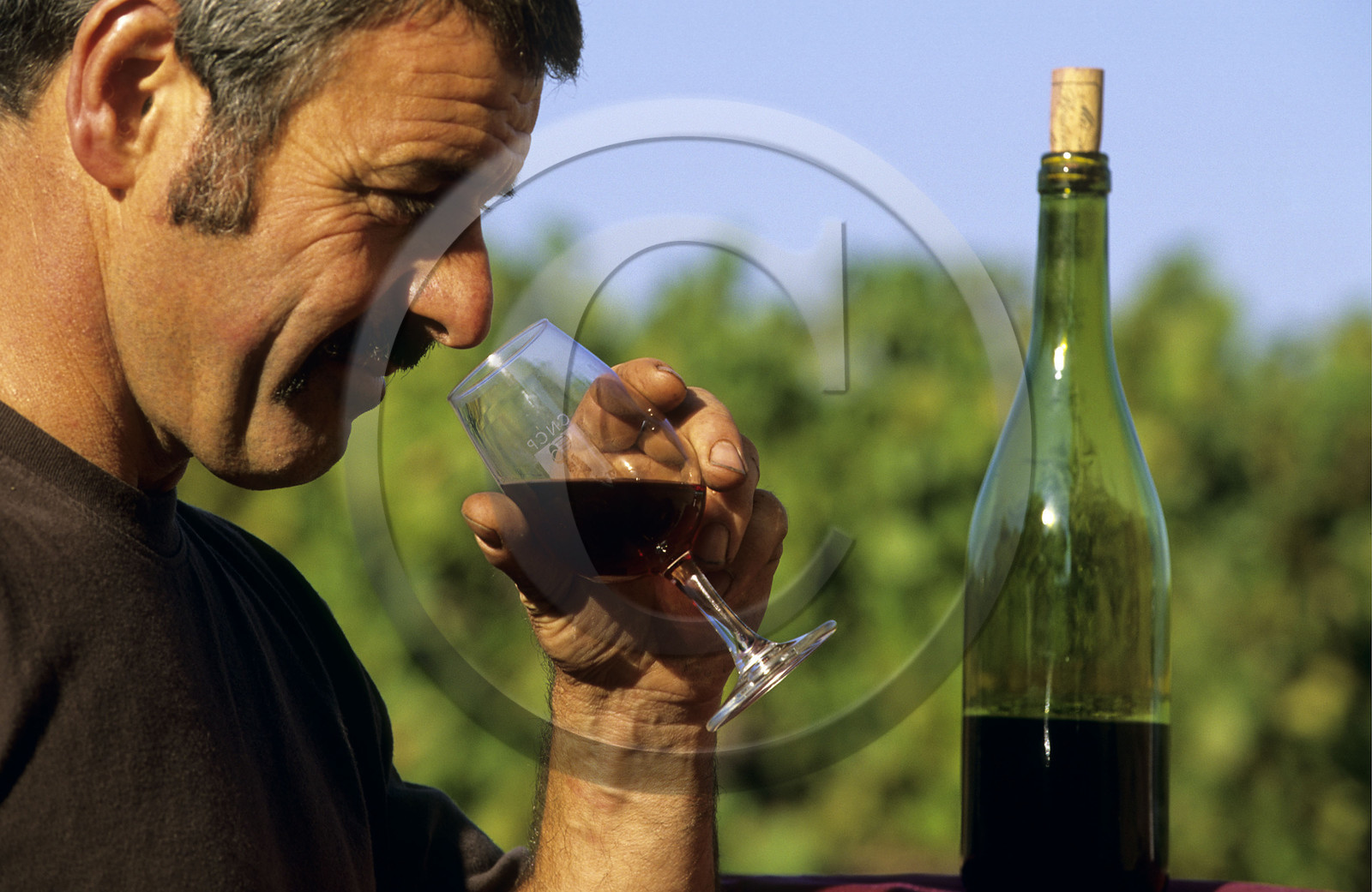 Le Beaujolais, France